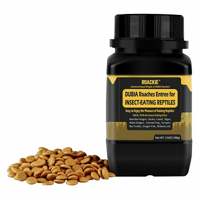 Roackie Dubia Roaches Entree