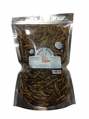 Wormy Worms Dried Superworms