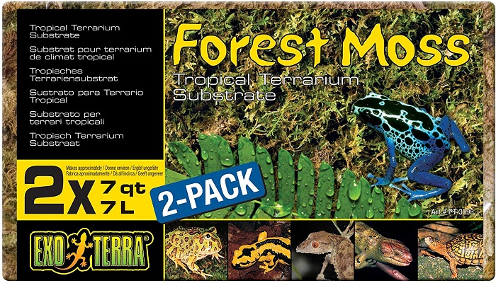 Exo Terra Forest Plume Moss