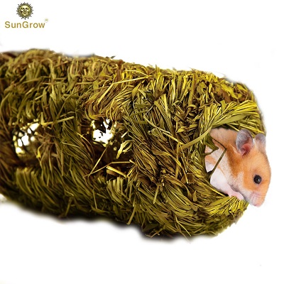 ZALALOVA Hamster Chew Toys