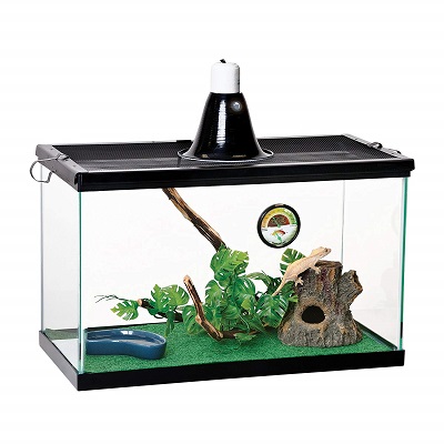 Zilla Reptile Starter Kit