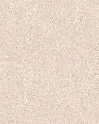 Carib Sea Reptile Calcium Sand