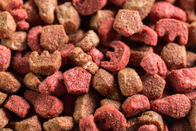 Dried dog food