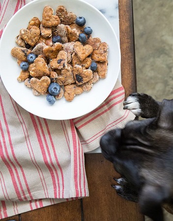 Homemade blueberry dog treats
