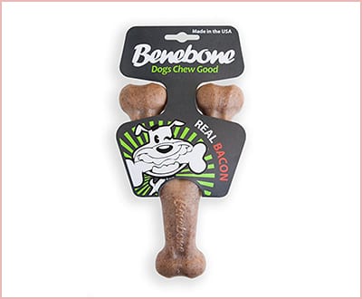 Benebone bacon flavored wishbone chew toy medium size