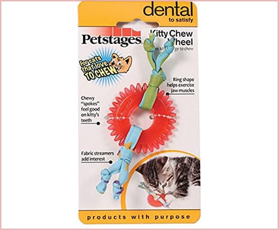 cat dental toy