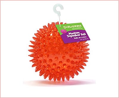 Gnawsome medium squeaker ball dog toy