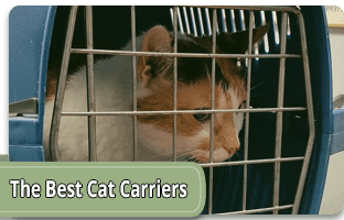 The best cat carriers