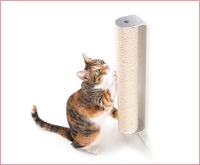 4CLAWS wall mounted scratching post for cats