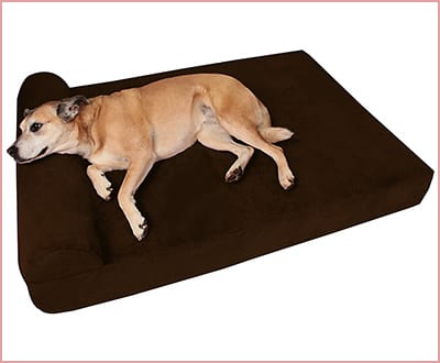 Big Barker pillow top orthopedic dog bed