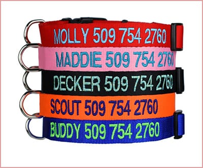 GoTages Personalized embroidered ID dog collar