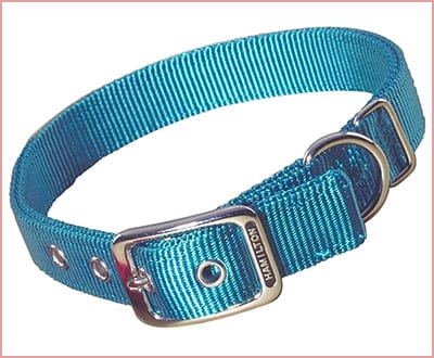 Hamilton double thick nylon deluxe adjustable dog collar