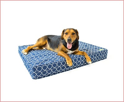 Luxury Supply orthopedic dog bed with memory foam