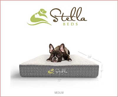 Stella Beds Elevated memory foam orthopedic dog bed with removable cover