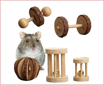 Best Pevor Pack of 5 Chew Toys for Hamsters