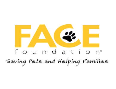 logo for the face foundation