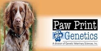 logo for paw print genetics