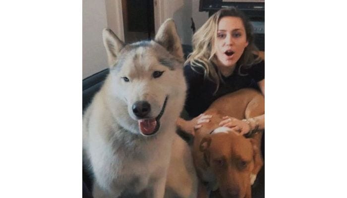 miley cyrus with two dogs