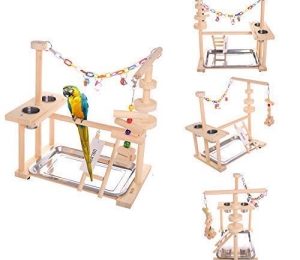 QBLEEV Parrot Playstand Bird Play Stand 