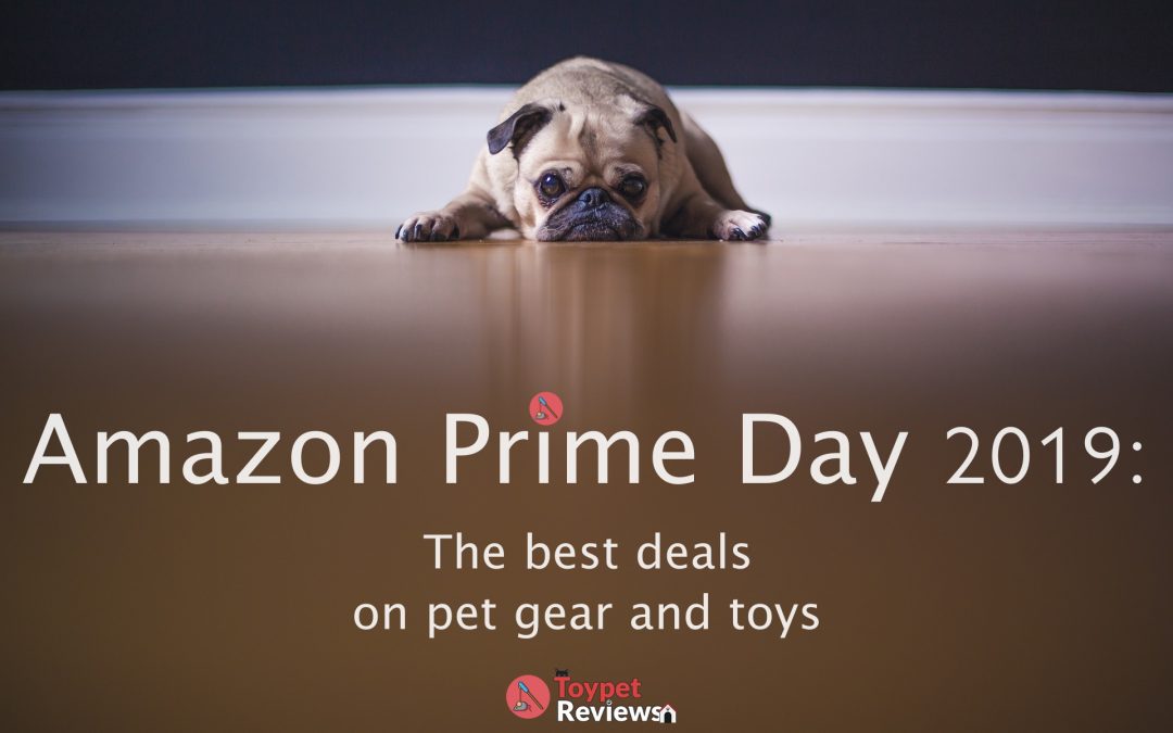 Amazon Prime Day 2019: Great Deals for Your Pets