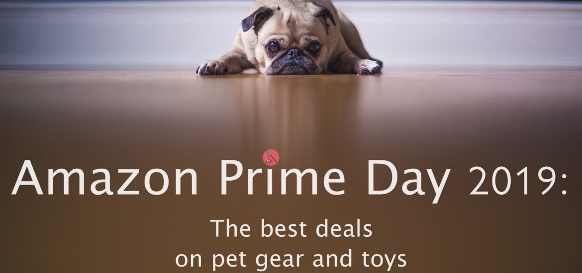 amazon prime day featured