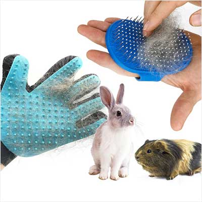 Dasksha Rabbit Grooming Kit