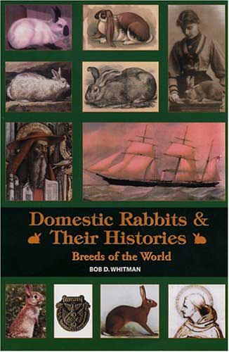 gedomesticeerde konijnen hun geschiedenis: rassen van de wereld