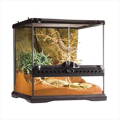 Exo Terra Glass Reptile Terrarium