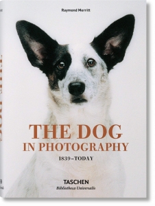The Dog in Photography 1839–Today Book