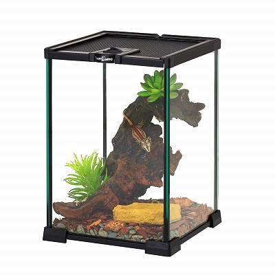 Repti Zoo Mini Reptile Glass Terrarium