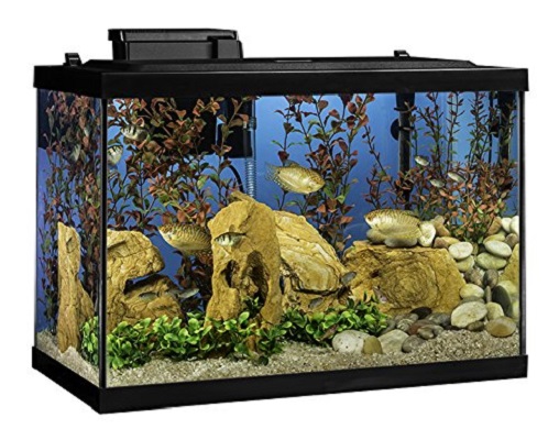 Tetra Complete Aquarium Kit