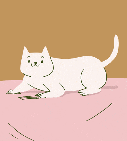animated cat scratching gif 